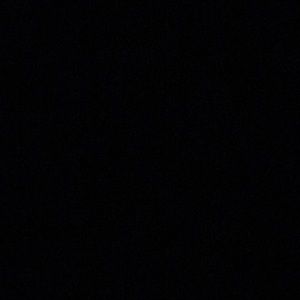 Meet your Posher, Doanld